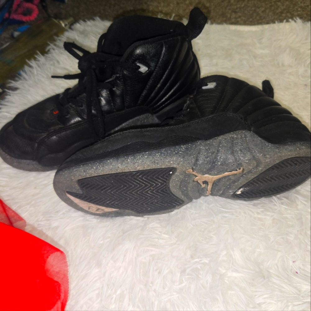 Jordan 12s